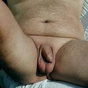a horny holiday gallery image
