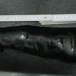 My big dildo into my a... gallery image