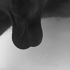Meiner und Bondage Galeriebild
