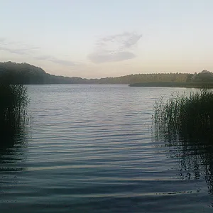 Bathing gallery image