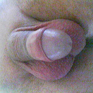 My cock gallery image