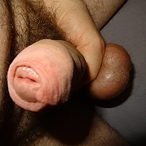 Mature dick gallery image