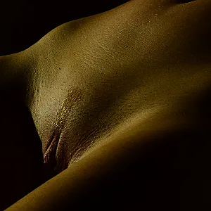Holiday pics gallery image