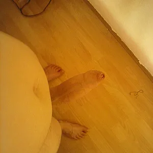 Neue bilder von an euch Galeriebild