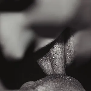 The end of the serie gallery image