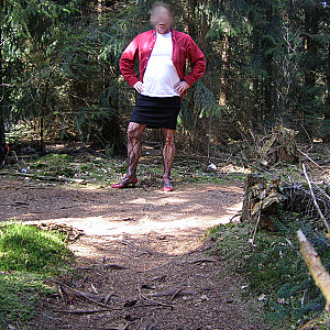 Einen Spaziergang im Wald. Galeriebild