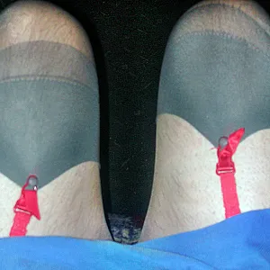 Strapse, Damenwäsche, Nylons Galeriebild