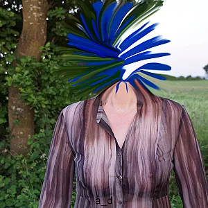First image of Swanetien's Gallery - Transparent