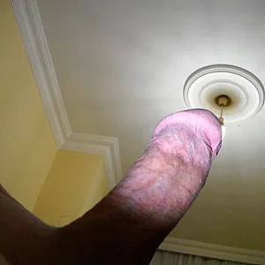 My Cock 2 Galeriebild