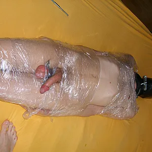 a slave in the folly gallery image