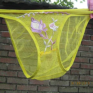 pantie sex gallery image