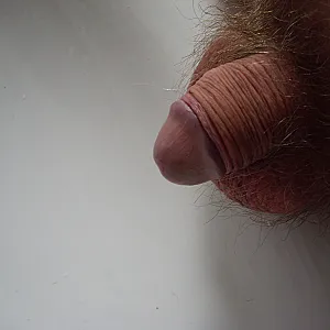 horny things from me for you gallery image