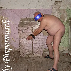 Pferdestall 13 Galeriebild