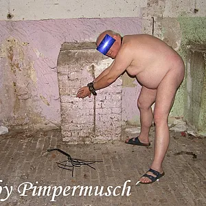 Pferdestall 13 Galeriebild