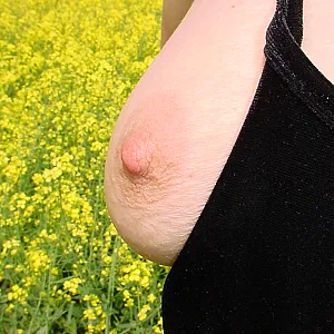 Gina Zeigt Sich / Raps 1 Galeriebild