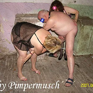 Pferdestall 16 Galeriebild