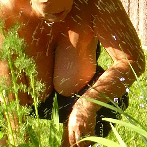 a walk in the garden gallery image