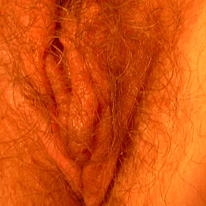 Muschi m Haaren Galeriebild