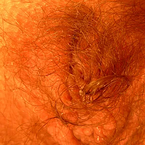 Muschi m Haaren Galeriebild