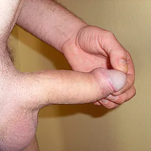 shaved gallery image
