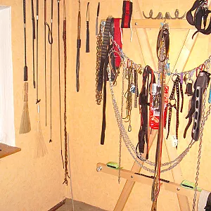 Sextoys in my studio gallery image
