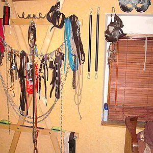 Sextoys in my studio gallery image