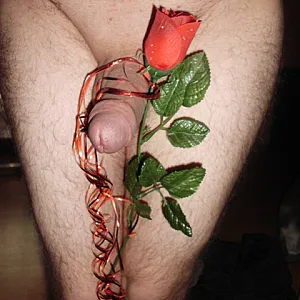 horny gallery image