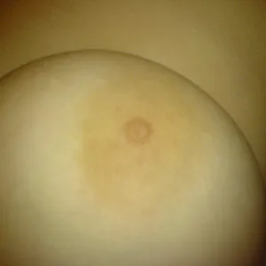 my pussy gallery image