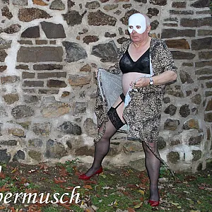 Zubringer 5 Galeriebild