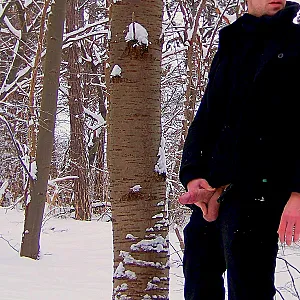 the winter will be awesome gallery image
