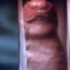 Our pussies gallery image