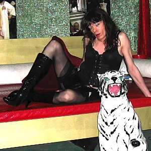 November 2010 gallery image