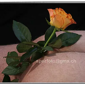 some of my pics gallery image