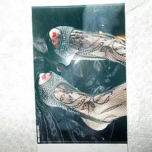 For Ini part 2 gallery image