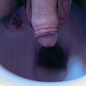 cock gallery image