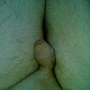 cock gallery image