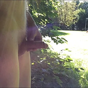 Wanking in park gallery image