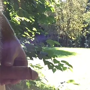Wanking in park gallery image