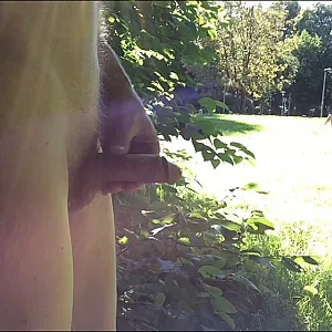 Wanking in park gallery image