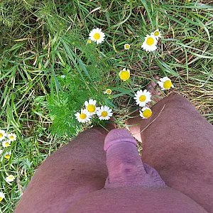 Urlaub an der Weser Galeriebild