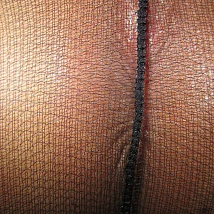 pantyhose gallery image