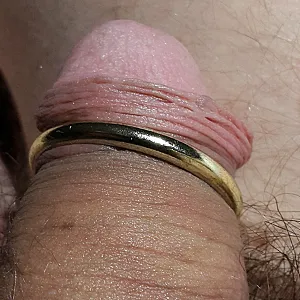 First image of wastef's Gallery - my cockrings