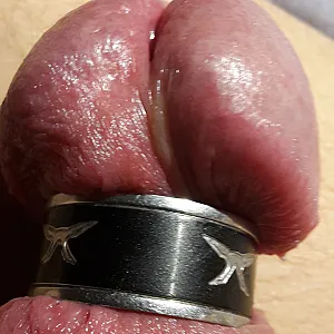 my cockrings gallery image