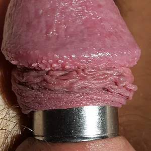 my cockrings gallery image