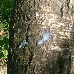 Kiesgrube Galeriebild