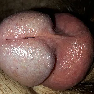 wanking again gallery image