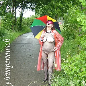 Musch in the Rain gallery image