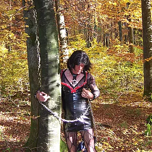 im wald und auf dem rastplatz Galeriebild
