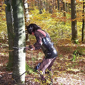 im wald und auf dem rastplatz Galeriebild