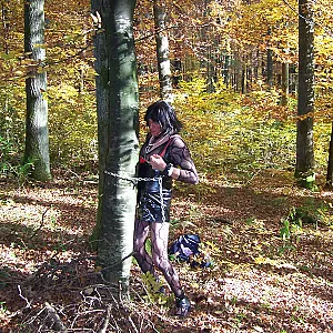 im wald und auf dem rastplatz Galeriebild